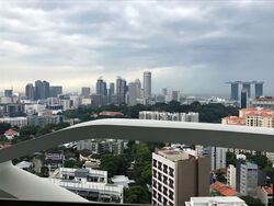 Skyline 360 @ Saint Thomas Walk (D9), Condominium #634737961